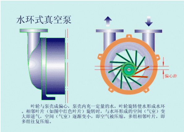 广东水环式真空泵