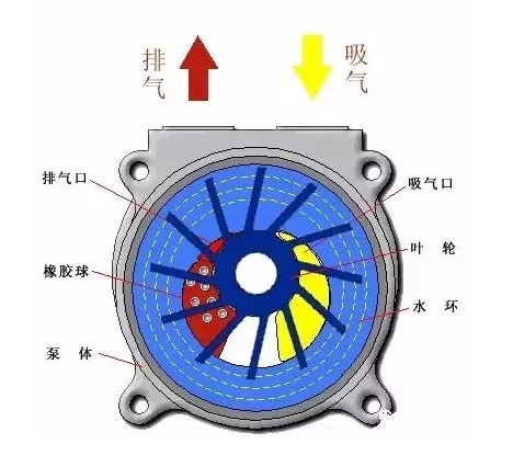 广东水环式真空泵